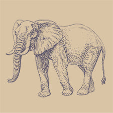 S053 Vintage Elephant Design Block