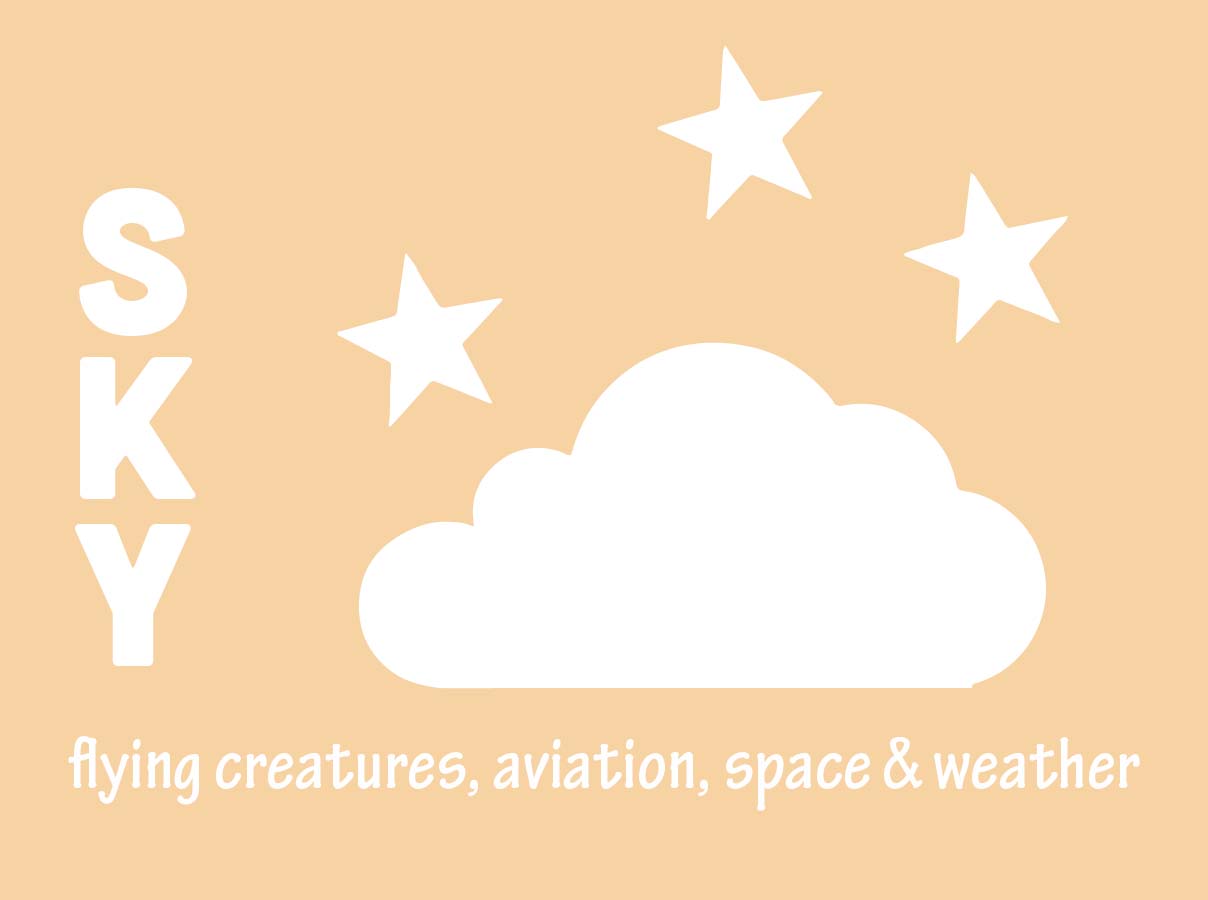 link to sky themed collection of blanket designs. including flying creatures, aviation and weather