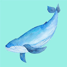 W163 Humpback Whale Watercolour Design Block