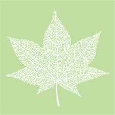 E871 Maple Leaf Design Block